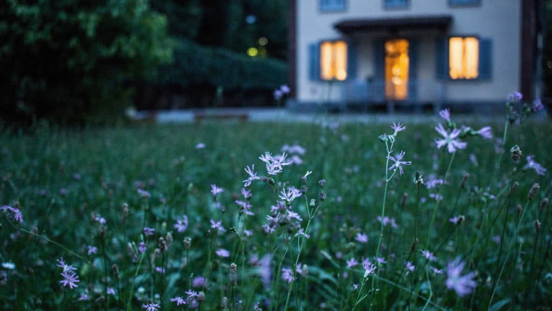 Front yard of home image in banner background